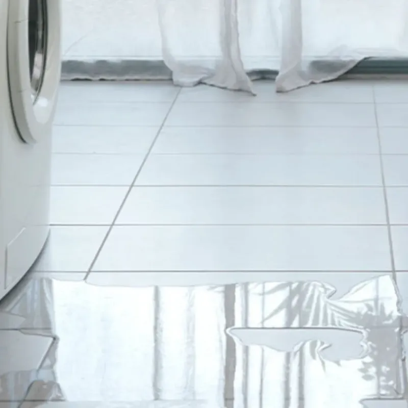 Appliance Leak Cleanup in Midway, GA