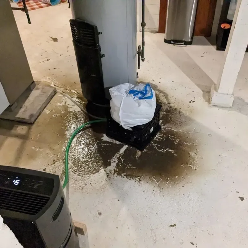 Sewage Backup Cleanup Service in Midway, GA